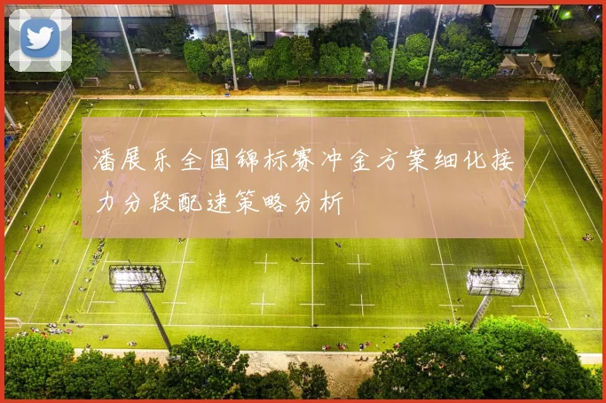 潘展乐全国锦标赛冲金方案细化接力分段配速策略分析
